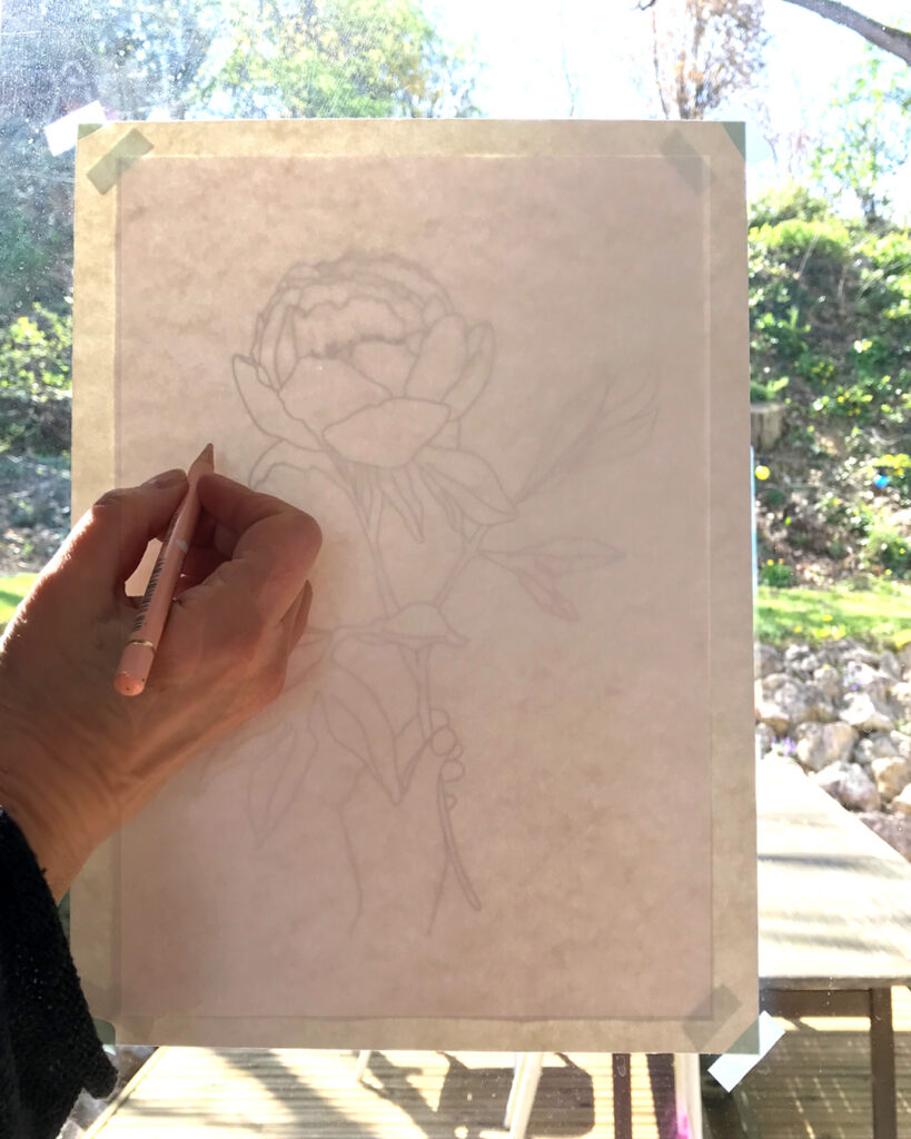 pivoine decalque2